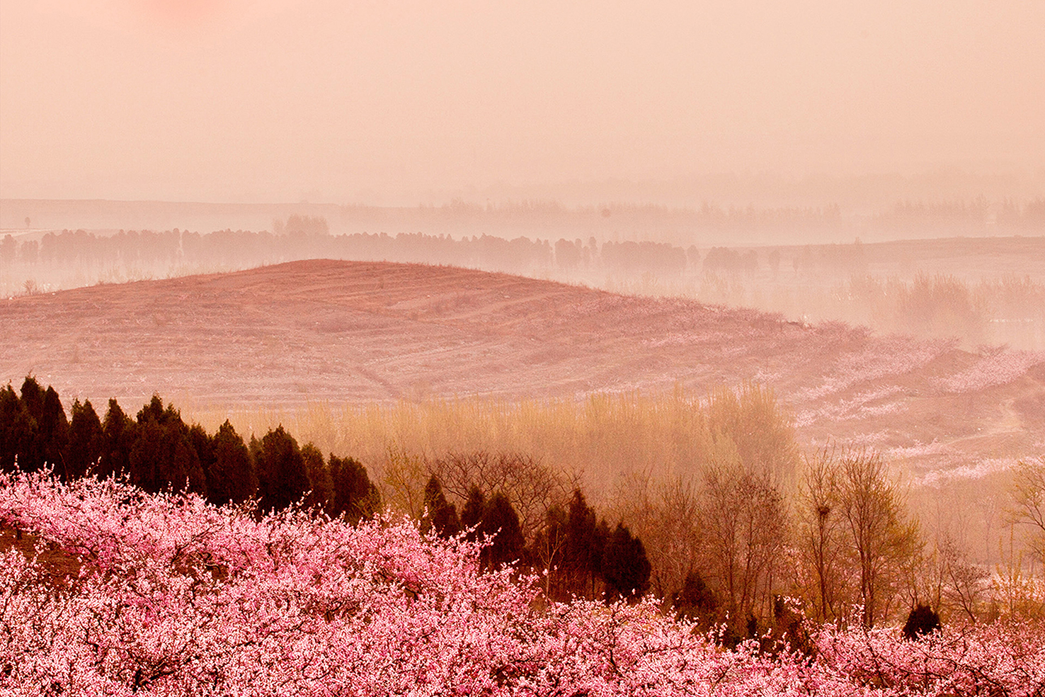 AGGAME��(�й���)���Źٷ���վ