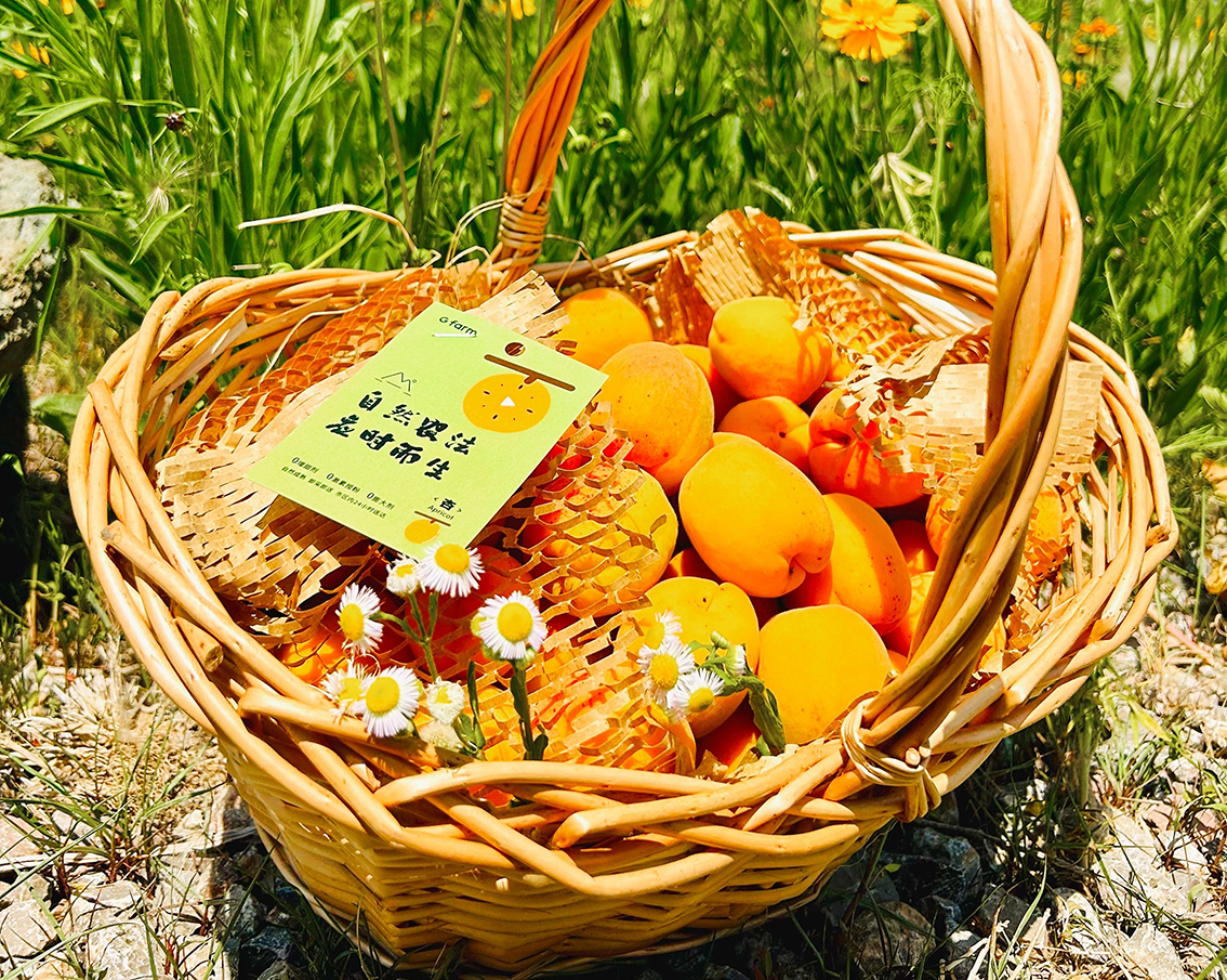 AGGAME��(�й���)���Źٷ���վ